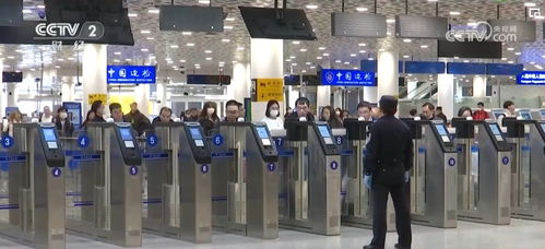 旅游市場升溫 政策利好、企業投資與商務效率提升共促產業繁榮